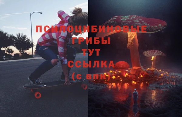 ECSTASY Беломорск