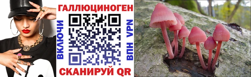 закладка  Невельск  blacksprut зеркало  Псилоцибиновые грибы Psilocybe 